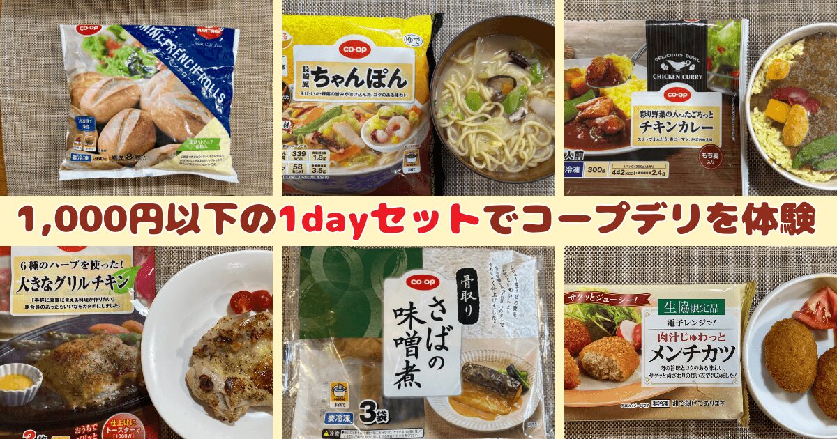 まとめ:コープデリお試セット約1,000円:1dayセットな入門編にぴったり
