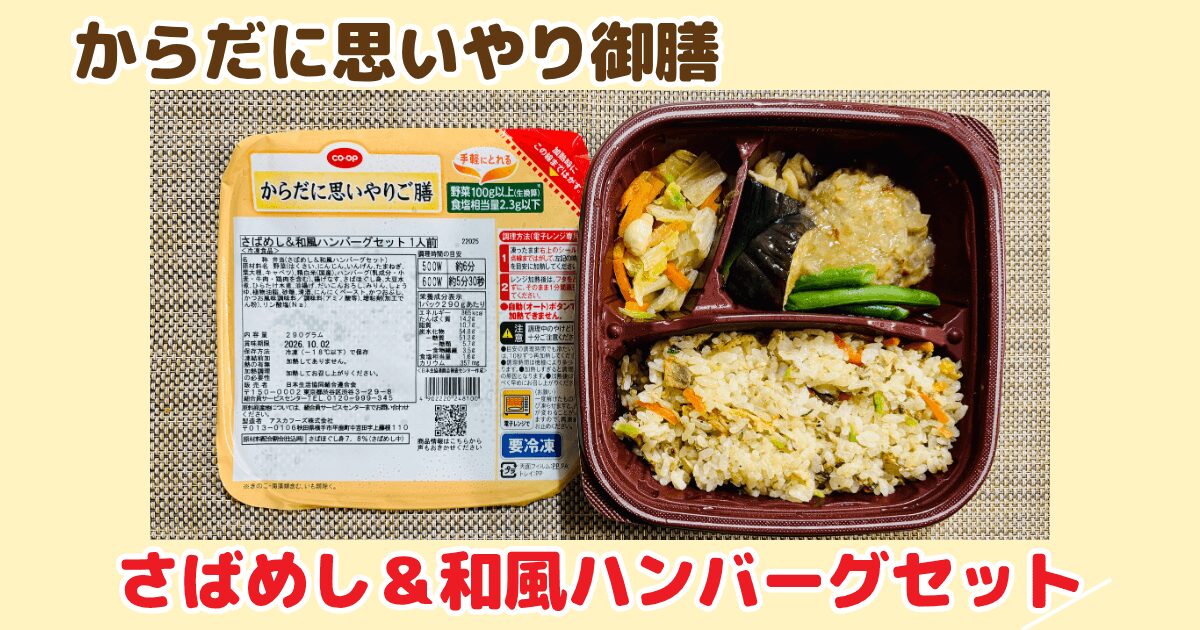 からだに思いやり御膳:さばめし&和風ハンバーグセット