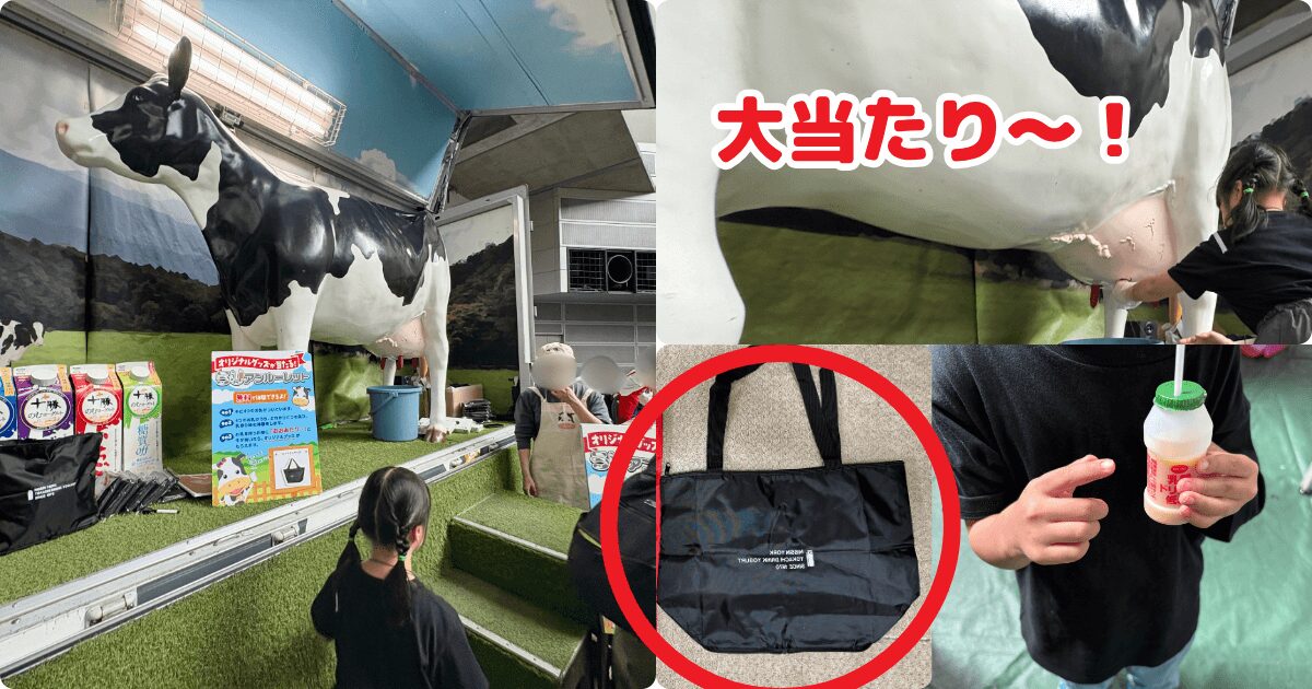 コープみらいフェスタ(食べるしあわせゾーン):日清ヨーク