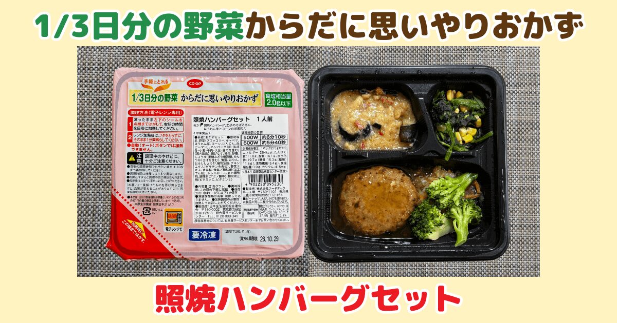 からだに思いやりおかず：照焼ハンバーグセット