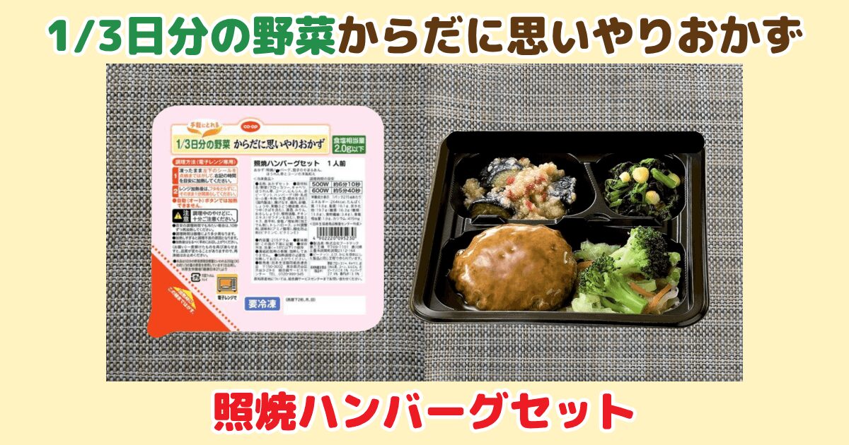 からだに思いやりおかず:照焼ハンバーグセット