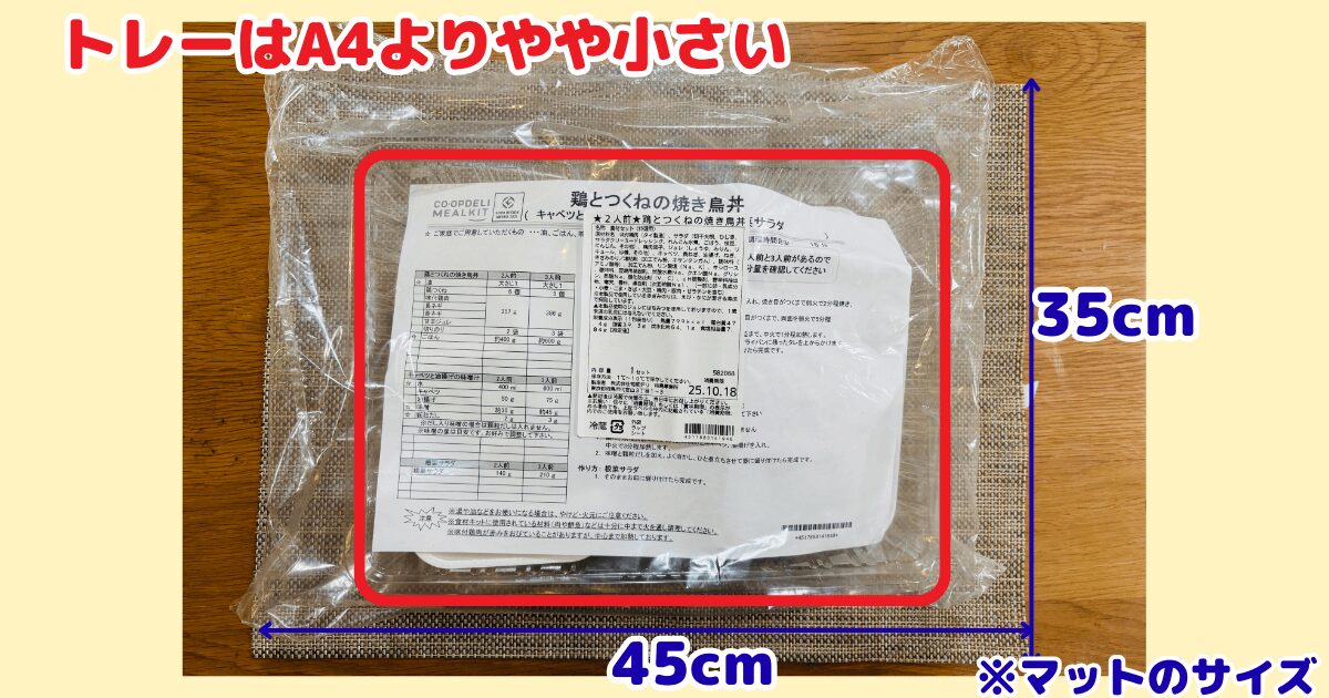 コープデリのミールキット容器の大きさがわかるサイズ感の確認写真