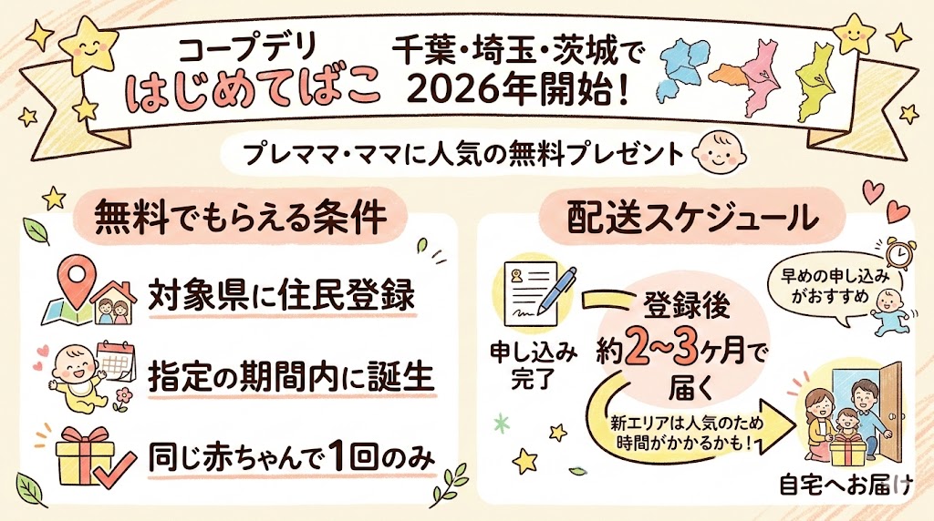 はじめてばこ条件や配送スケジュールを説明した図解