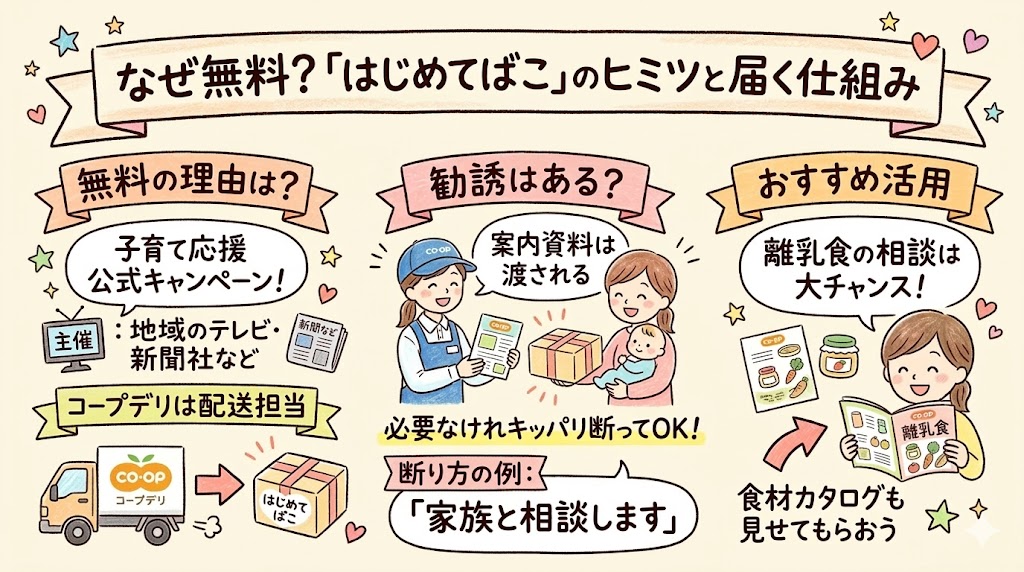はじめてばこが無料でもらえる理由や勧誘の有無、コープデリの離乳食相談などのおすすめ活用法を図解
